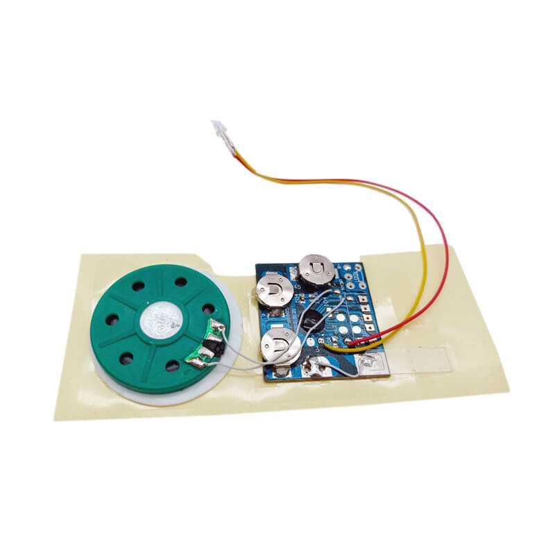 Greeting Card Voice Recorder Module Chip